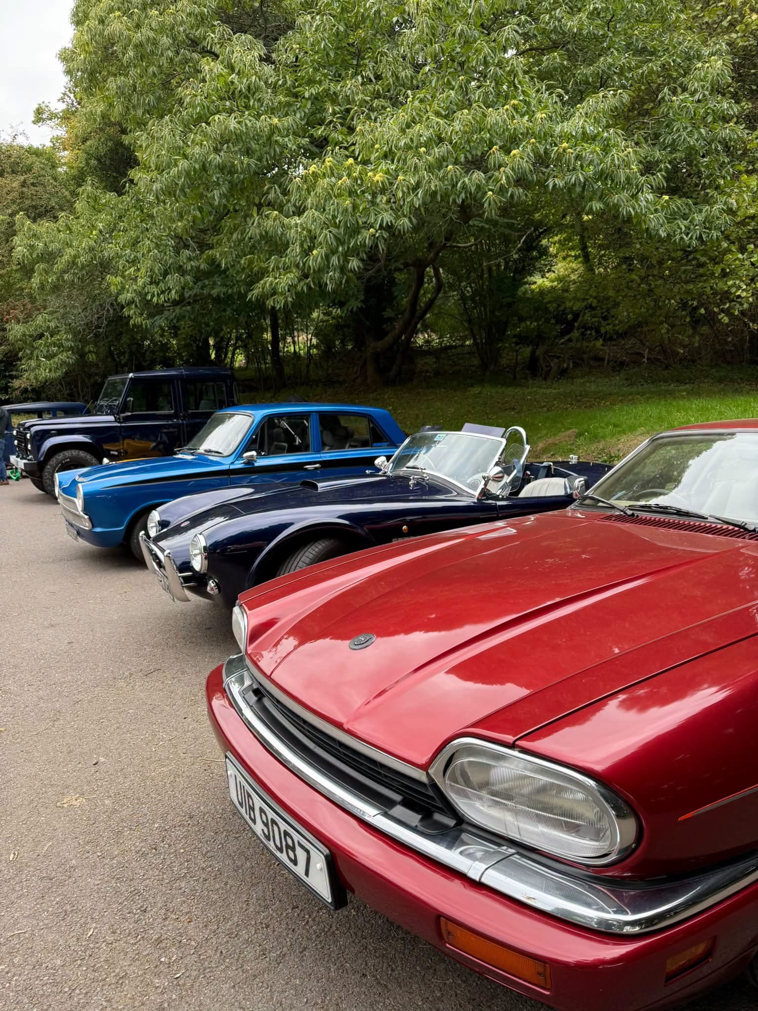 Classic cars lined up beneath the trees at an earlier Rising Sun meet